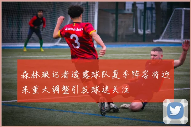 森林狼记者透露球队夏季阵容将迎来重大调整引发球迷关注