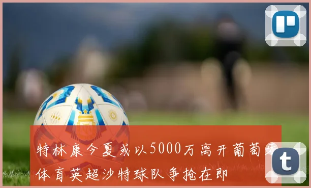 特林康今夏或以5000万离开葡萄牙体育英超沙特球队争抢在即