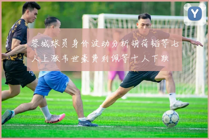蓉城球员身价波动分析胡荷韬等七人上涨韦世豪费利佩等十人下跌