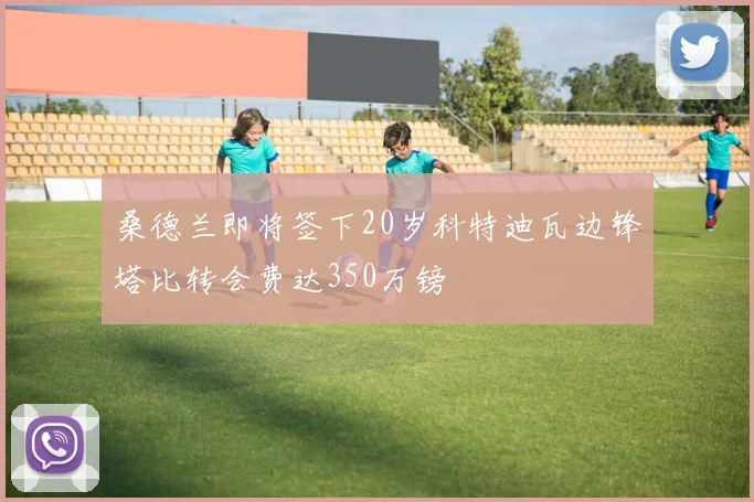 桑德兰即将签下20岁科特迪瓦边锋塔比转会费达350万镑