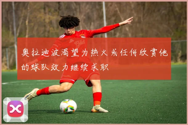 奥拉迪波渴望为热火或任何欣赏他的球队效力继续求职